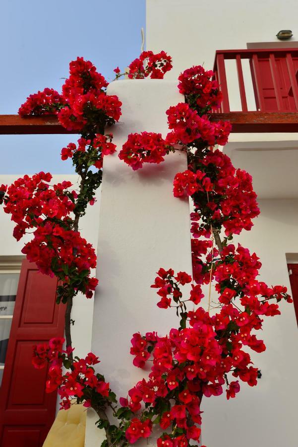 Seagull Rooms Galissas Dış mekan fotoğraf